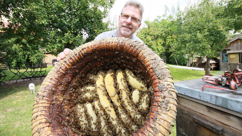 Steffen Wittig aus Rhäsa bei Nossen gewährt Neugierigen am Sonntag einen Blick in verschiedene Arten von Bienenkörben – auch in diesen Lüneburger Stülper.