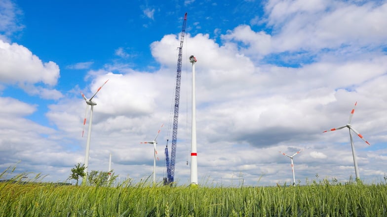 Das war der Riesenkran, mit dem die Repowering-Anlagen im Windpark in Olberseifersdorf/Eckartsberg montiert wurden. Der Kran für die Demontage der Altanlagen fällt ein Stück kleiner aus.