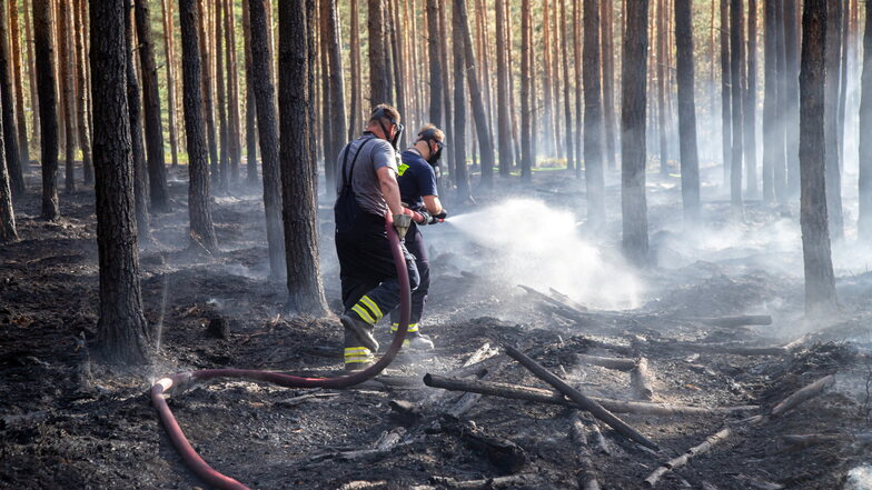 Wie Sachsens Wald gegen Brände gerüstet werden kann