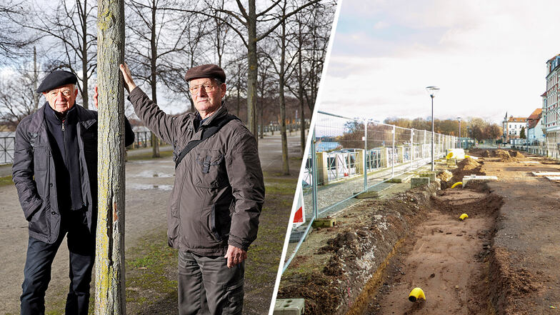 Ditmar Hunger (l.) und Konrad Lux vom Alleenforum Sachsen bei einem Besuch in Riesa Anfang 2022. Der Verein kritisierte die Fällung der Linden scharf. Am Ende erzielte er einen Teilerfolg - nur ein Teil der Bäume wurde gefällt.