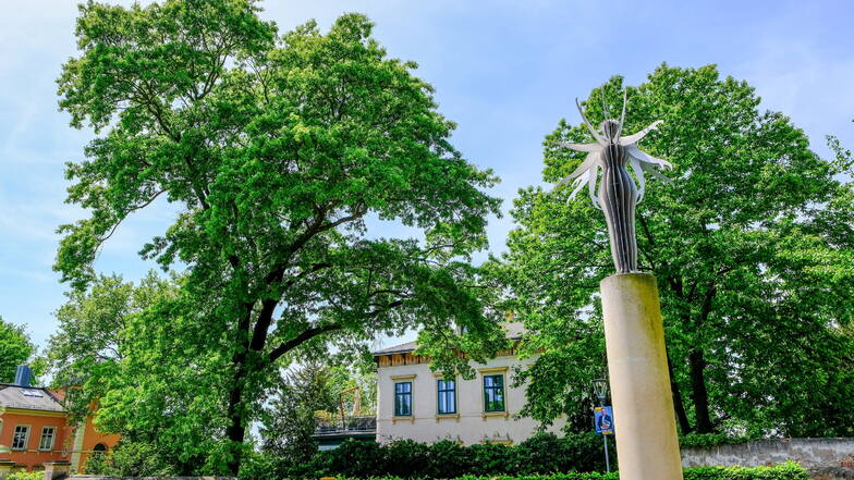 Große Bäume wie in den Vorgärten am Eduard-Bilz-Platz möchte die Stadt Radebeul auf vielen Grundstücken sehen.