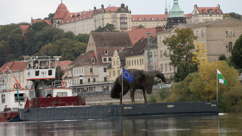 Diese riesige Skulptur schipperte von Prag in die sächsische Landeshauptstadt. Am Donnerstag passierte sie auch Pirna.