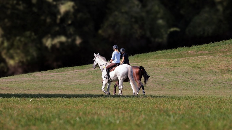 Bei einem Reitunfall auf einer Bundesstraße auf der Insel Usedom in Mecklenburg-Vorpommern sind zwei Mädchen im Alter von neun und elf Jahren schwer verletzt worden.