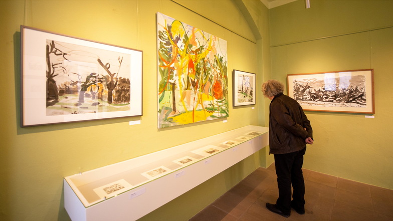 Ein Besucher schaut sich die Ausstellung "Bilder aus Landschaften" von Franziska Kunath im Sächsischen Weinbaumuseum Hoflößnitz an.