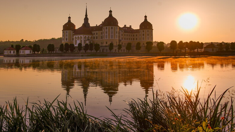 Wunderschöne sommerliche Morgenstimmung am Schloss Moritzburg. Das siebente Konzert des Moritzburg Festivals "Schatten und Licht" auf der Schlossterrasse passte zu diesem Ambiente ganz genau.