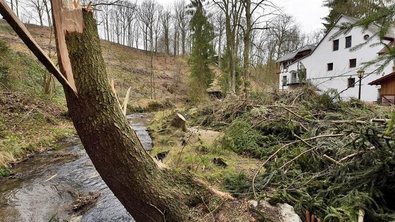 Auch im Bereich der Margarethenmühle in hat Orkantief Friederike einige Schäden verursacht.
