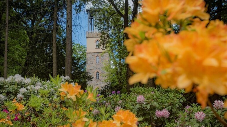 Die Rhododendron-Pracht auf dem Hutberg lockt jedes Jahr viele Besucher nach Kamenz. Der Schöpfer des Parks Wilhelm Weiße hat sich mit dem Gründer der Grüngräbchener Gärtnerei offenbar auch ausgetauscht.