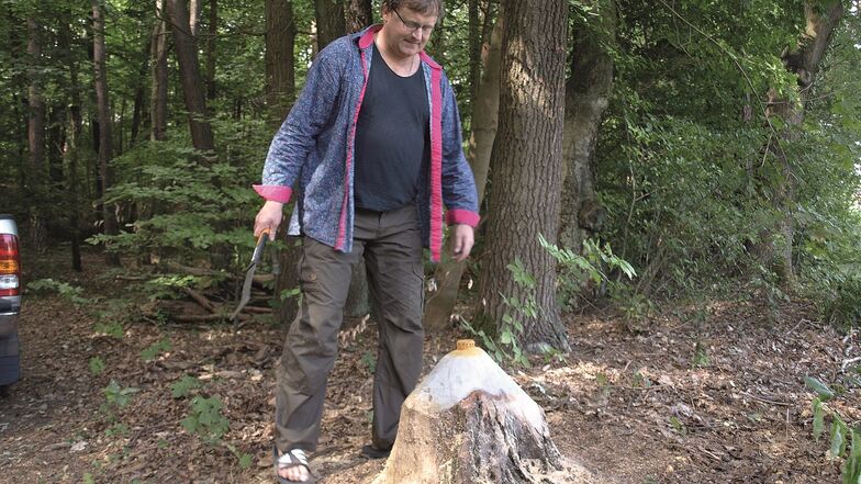 Daniel Kreisel hat die Gefahrenquellen in seinem Wald beseitigt.