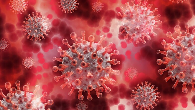 Der Coronavirus kann zu Lungenversagen führen. Stammzellen können helfen, Schäden am Lungengewebe zu regenerieren.