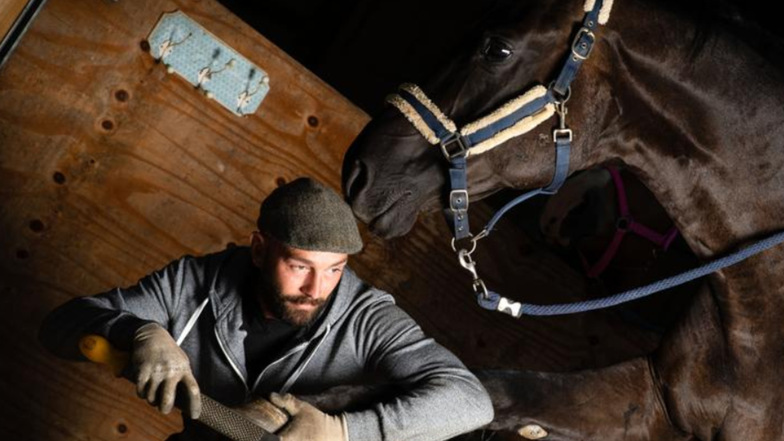 Max Mögel sorgt mit seiner Behandlung dafür, dass Pferde auf gesunde Hufen gehen und stehen können. Daher ist es wichtig, sie gut zu pflegen. Der Seeligstädter Therapeut bringt dafür die nötige Ruhe und das richtige Händchen für die Tiere mit.