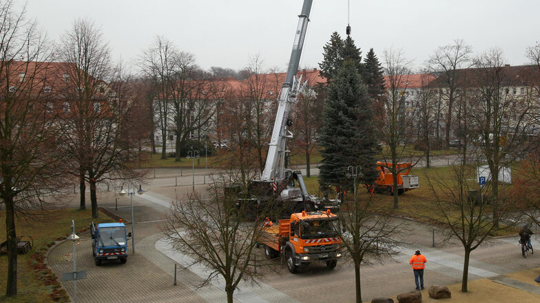 Mitarbeiter des Bauhofes Niesky haben am Montag den Weihnachtsbaum auf dem Zinzendorfplatz aufgestellt.