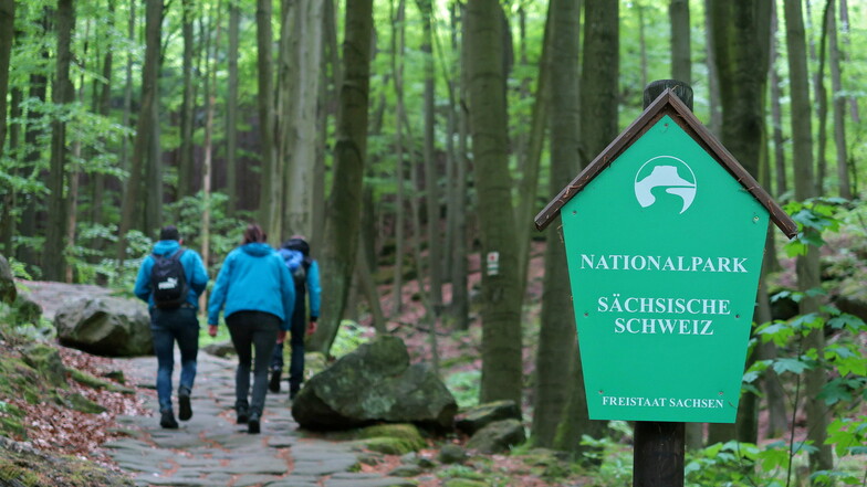 Wandern im Nationalpark Sächsische Schweiz? Seit Dienstag ist das verboten - wie in allen Wäldern im Landkeis. Doch es gibt Ausnahmen.