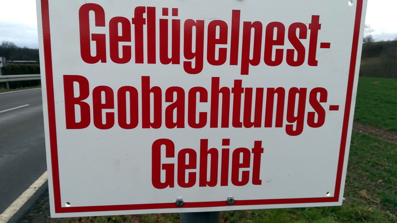 Im Landkreis Görlitz wurden bisher erst zwei infizierte Wildvögel gefunden. Vorsicht ist geboten.