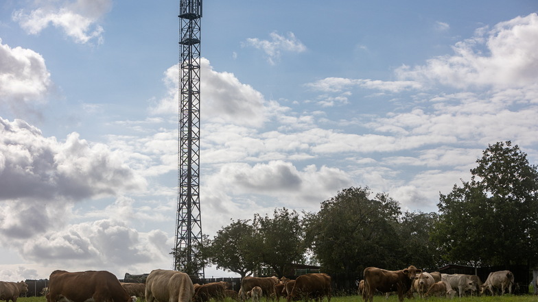 Kühe, Streuobstwiese und mittendrin ein 35 Meter hoher Stahlgittermast: Mobilfunkanbieter O2 investiert in sein Netz.