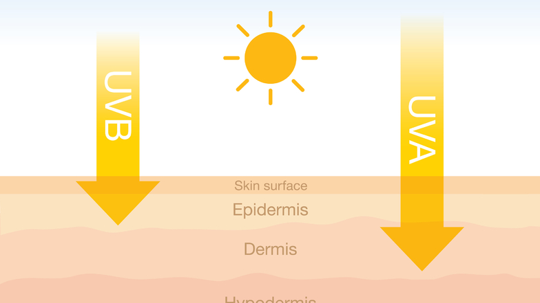 Die unsichtbaren UV-Strahlen der Sonne sind nicht nur verantwortlich für einen sonnengeküssten Teint, sondern leider auch für Sonnenbrand (UV-B), vorzeitige Hautalterung (UV-A), Hautkrebs (UV-A und -B) und allergische Reaktionen.