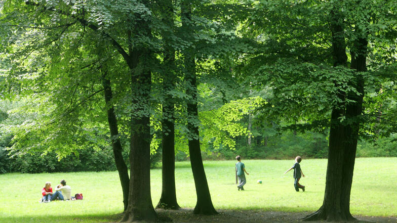 Der Waldpark Blasewitz in Dresden.