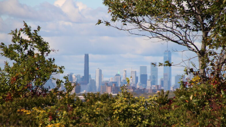 Immer im Blick: Die Skyline von Manhattan ist vom Naturschutzgebiet "Jamaica Bay Wildlife Refuge" aus deutlich zu sehen.