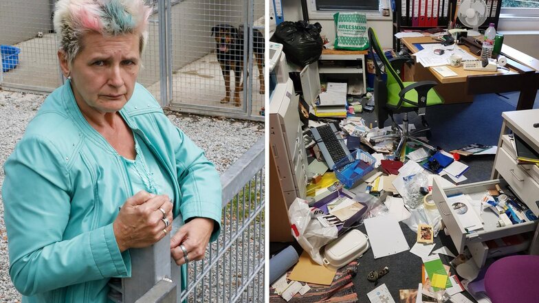 Ramona Loske hat dokumentiert, welches Chaos die Diebe im Tierheim Bischdorf hinterließen.