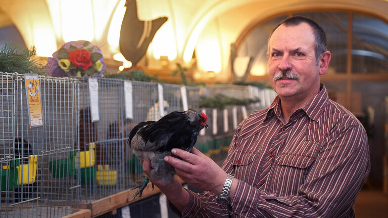 Steffen Kretzschmar, der Vorsitzende des Stauchitzer Rassegeflügelzüchtervereins, hat mit seinen Mitstreitern eine Schau in der Stauchaer Markthalle vorbereitet.