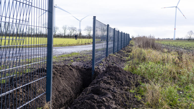 So sieht ein Schweinepest-Zaun an der deutsch-dänischen Grenze aus.