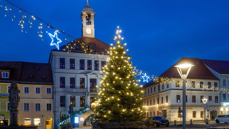 Bischofswerda: Neue Suche nach einem Weihnachtsbaum