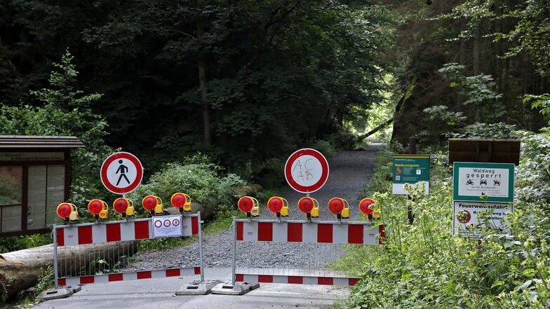 Streitthema Großer Zschand in der Sächsischen Schweiz: Der Weg ist wegen Baumsturzgefahr noch immer gesperrt.