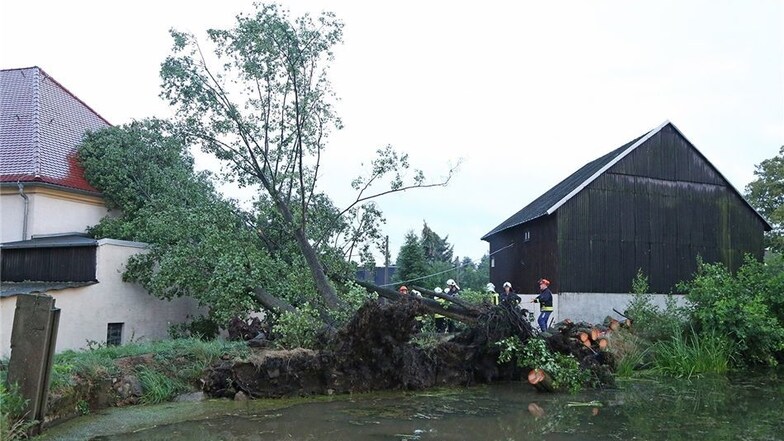 Geißmannsdorf: Mehrere Bäume wurden am Sonntagabend vom Sturm entwurzelt. Sie fielen auf den Anbau eines Wohnhauses.