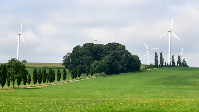 Wie es mit dem Windpark am Wacheberg nach dem Repowering-Aus weitergeht