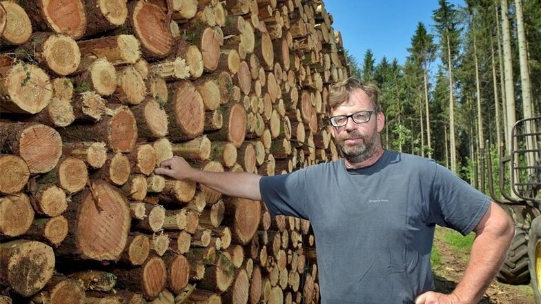 Der Waldbesitzer Kai Schumann hat insgesamt rund 800 Festmeter Holz als Sturmschaden zu beklagen. Das Holz musste so schnell wie möglich raus aus dem Wald, denn nun sorgt der Borkenkäfer für die nächsten Einbußen bei der Holzvermarktung.