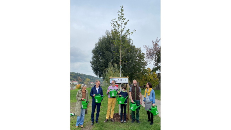 Initiator Helge Goldhahn (3.v.l.) mit Projektpartnern: zum Auftakt eine Erle an der Elbpromenade gepflanzt.