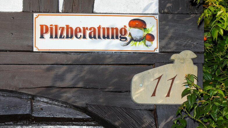 Mit einem Schild an ihrem Umgebindehaus weist Pilzberaterin Heike Milde in der Kleinen Seite 11 in Hainewalde auf ihr Angebot einer kostenlosen Pilzberatung hin.