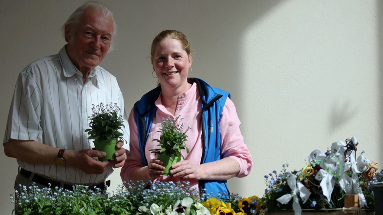 Jung und Alt kamen am Freitag in Coswig zusammen, um die gespendeten Vergissmeinnicht-Pflanzen einzusetzen.