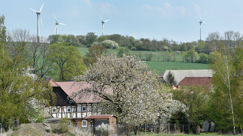Die vier derzeitigen Windkraftanlagen auf dem Schanzberg in Oberseifersdorf. Die drei neuen sollen drei Mal so hoch sein.