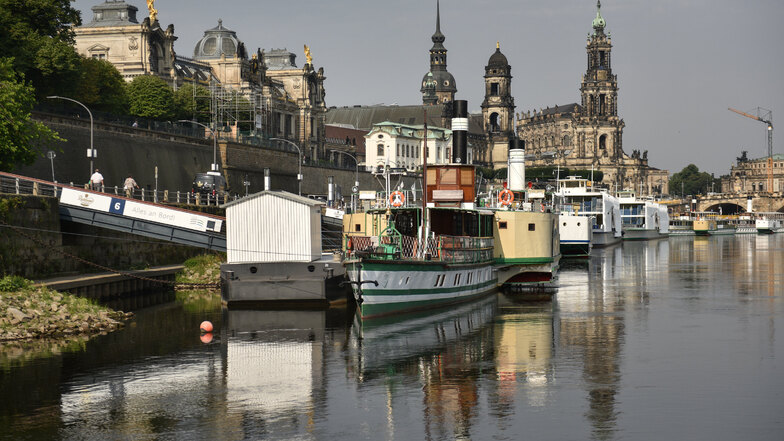 Das Archivfoto aus dem Sommer 2019 zeigt einige Schiffe der Weißen Flotte bei Elbe-Niedrigwasser am Terrassenufer in Dresden.