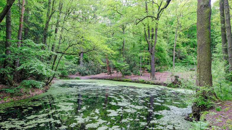 Für den Waldpark mit Schwarzes Teich liegt ein Konzept vor, wie die grüne Oase attraktiver gemacht werden kann. Dieses Vorhaben könnte aus Sicht der Freien Wähler von der Bundesgartenschau profitieren.