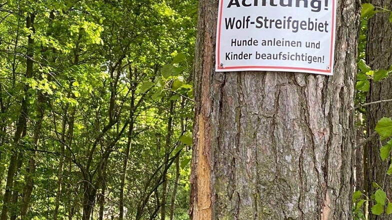 Am Park Naunhof in der Nähe des Wehres warnt dieses Schild mit offiziellem Anschein. Es ist interessant, wer es aufgehängt hat.