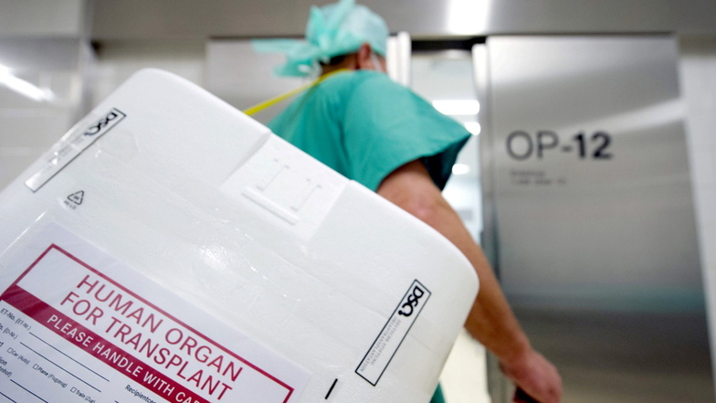 Ein Styropor-Behälter zum Transport von zur Transplantation vorgesehenen Organen wird in einen OP-Saal getragen.