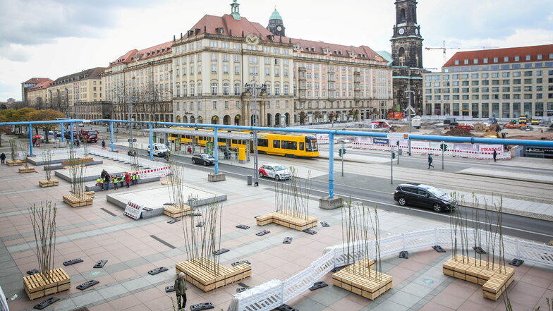 Grün ins Grau: Die Dresdner Philharmonie hat vor dem Kulturpalast Sitzbänke mit Korbweiden-Stecklingen aufgestellt. Die müssen jetzt nur noch richtig austreiben.
