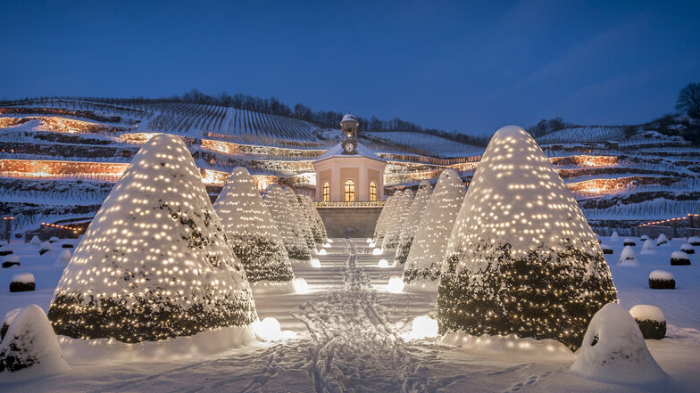 Nicht nur zur Weihnachtszeit sieht die Erlebniswelt Schloss Wackerbarth wunderschön aus, sondern sie bietet auch darüber hinaus die perfekte Location für zahlreiche Events.