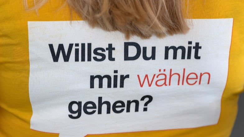 Nur noch zweieinhalb Wochen bleiben bis zur Landtagswahl in Sachsen. Die Kandidaten für den Landkreis Meißen im Check.