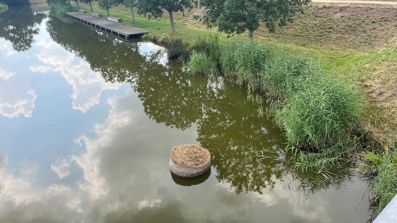 Eine liegt im Gondelteich.