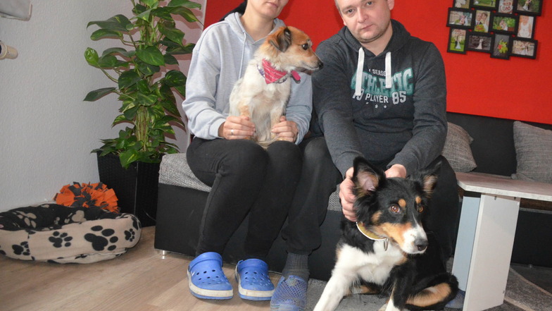 Nicole und Nico Kolczielsky mit den verbleibenden Hunden Amy und Barbie in ihrer Neubauwohnung. Amy bekam im Sommer neun Junge, die die Familie inzwischen abgegeben hat.