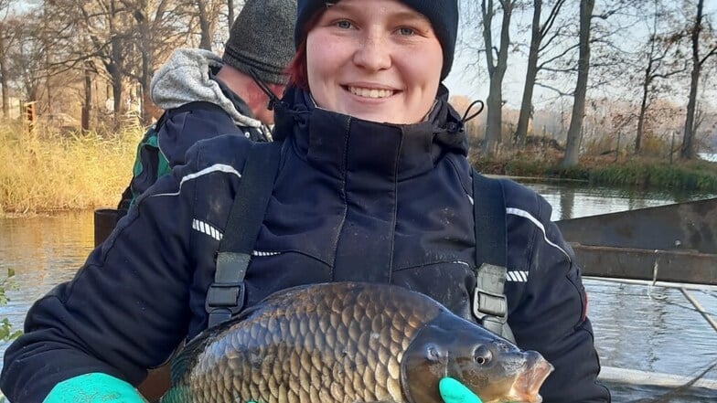 Lausitzer Fischwochen: Tradition und Zukunft der Teichlandschaft