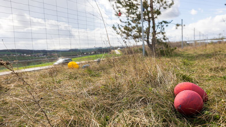 An dem Autobahnzubringer von Pirna zur A17 hat der berühmte Unbekannte eine Kiefer mit Ostereiern behängt, die wurden mittlerweile vom Wind herunter geweht.