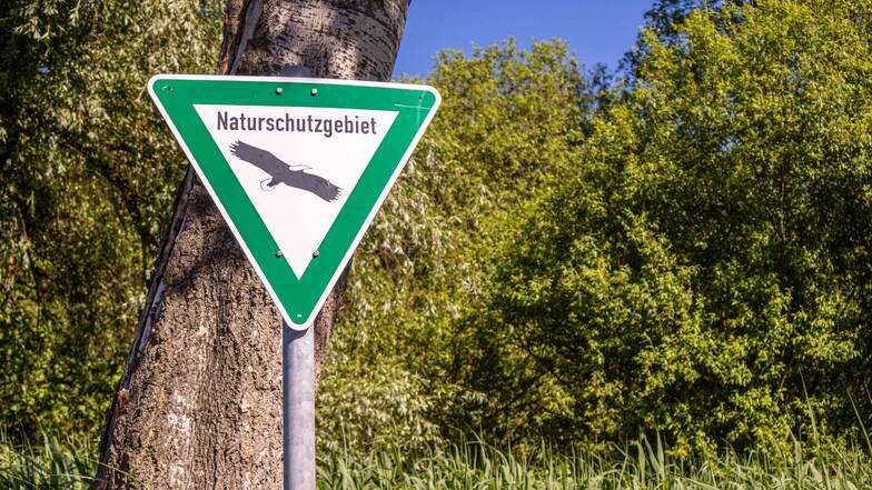 Die sächsische Koalition wollte mehr für den Naturschutz tun und hat das Naturschutzgesetz geändert. Doch am Ende gab es harsche Kritik aus den eigenen Reihen.