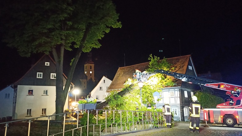 Im Gewittersturm am Abend des 20. Mai ist eine der riesigen Linden an der Theodor-Haebler-Straße in Großschönau auf ein Umgebindehaus gestürzt.
