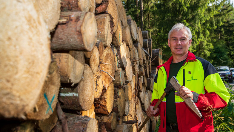 Revierförster Christian Schmidt an einem Stapel Industrieholz. Um es schnell aus dem Wald zu kriegen, wird es jetzt in Größenordnungen zum Verheizen angeboten.