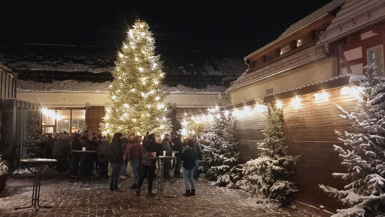 Sieht der diesjährige Weihnachtsbaum im Gröditzer Dreiseithof nicht wunderschön aus? Erst recht, wenn abends seine Lichter leuchten.