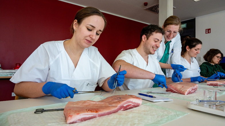 Darum sitzen künftige Chirurgen im Klinikum Döbeln vor Schweinebäuchen