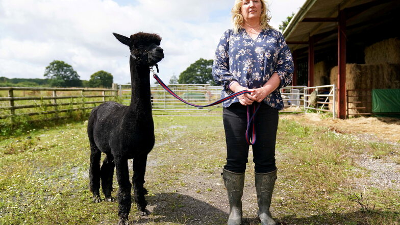 Besitzerin Helen Macdonald kämpft um ihr erkranktes Alpaka.